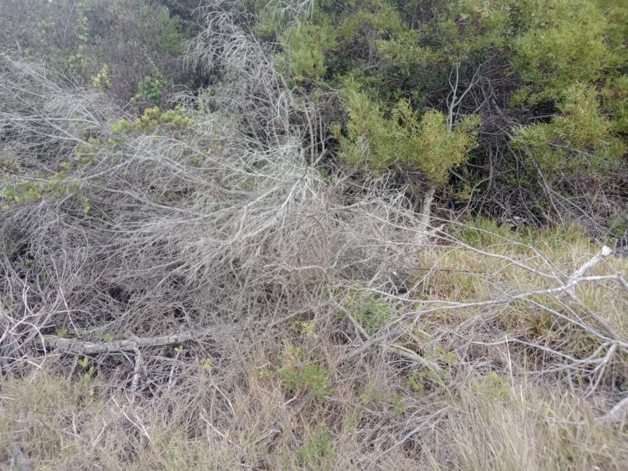 Commercial Property for Sale in Paradise Beach Eastern Cape